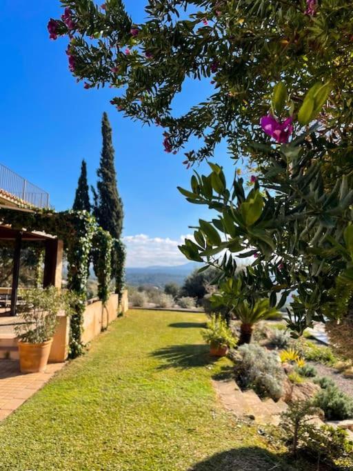 Finca Rural S'Estepa Palma di Maiorca Esterno foto