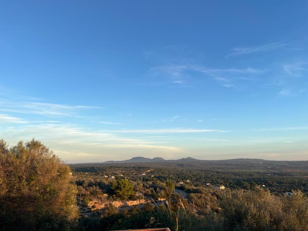 Finca Rural S'Estepa Palma di Maiorca Esterno foto